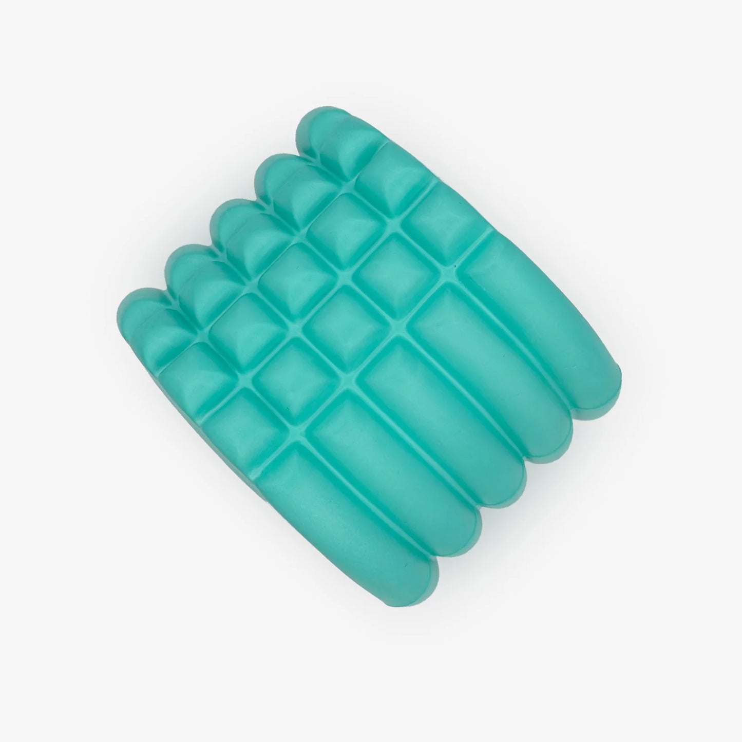 Foam Roller (AC55)