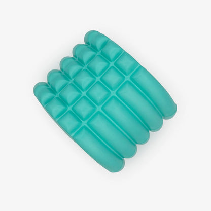 Foam Roller (AC55)