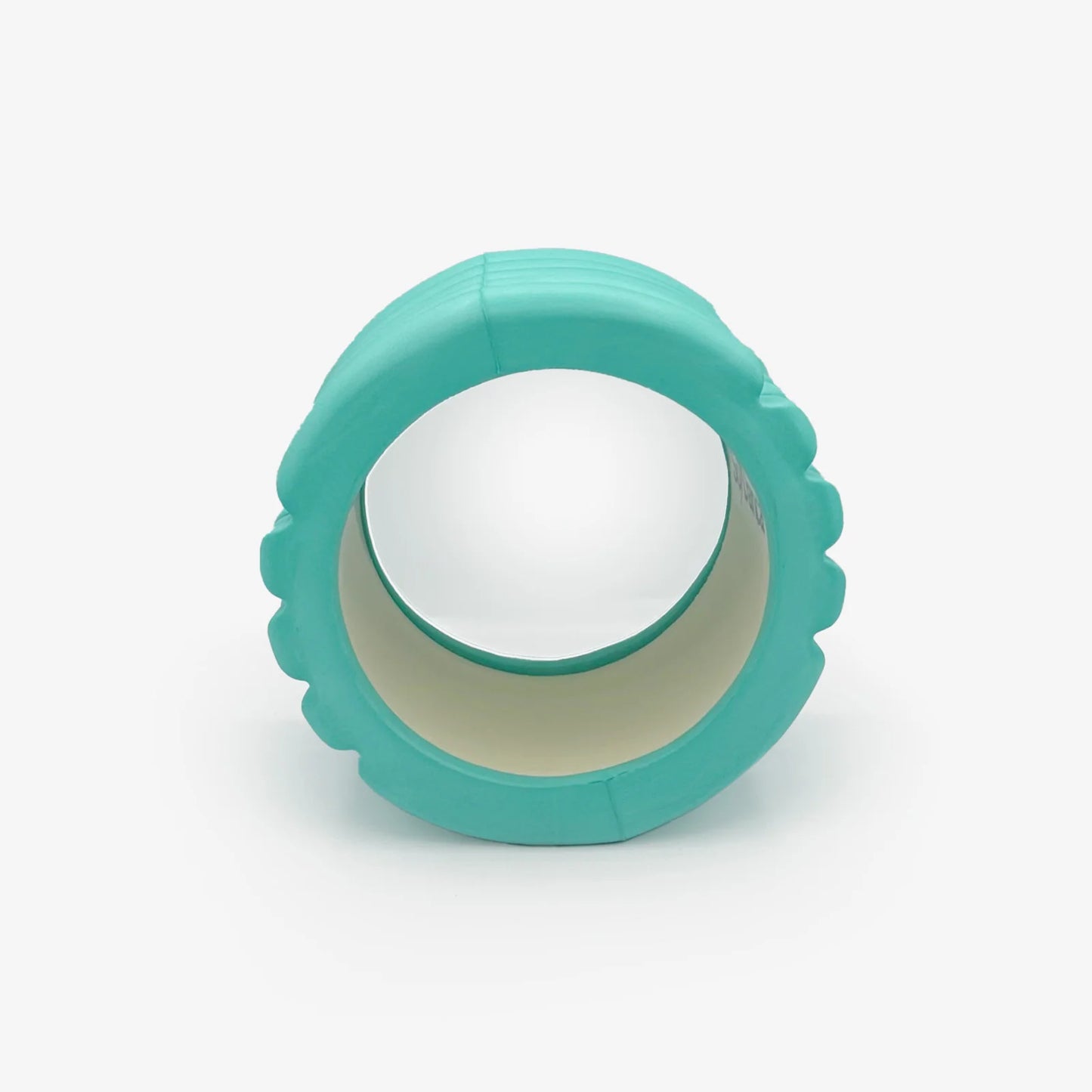 Foam Roller (AC55)