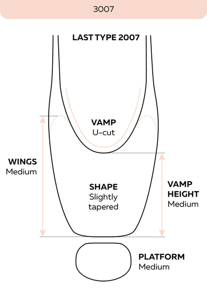2007 pointe shoe diagram